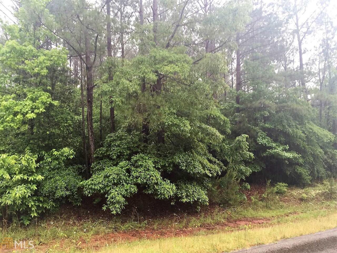0 Smokey Road, Unit 3 LaGrange, GA 30241 - Photo 1 of 1 Gallery Image 1