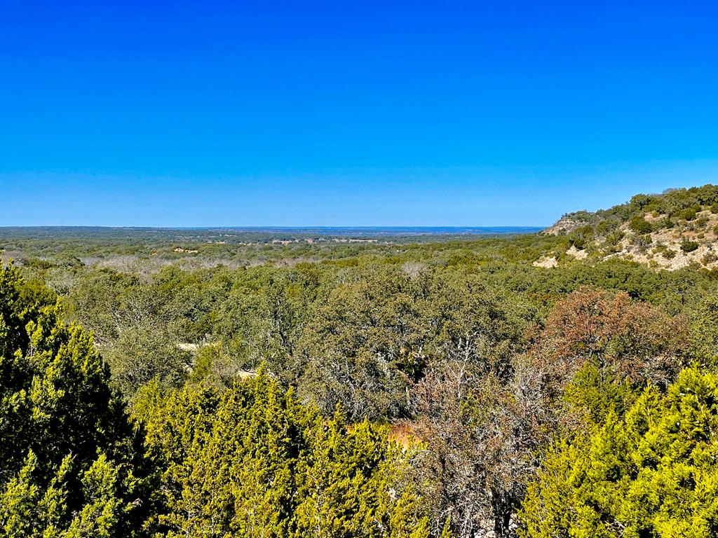 1476 Salt Branch Loop Doss, TX 78618 - Photo 1 of 20 Main View