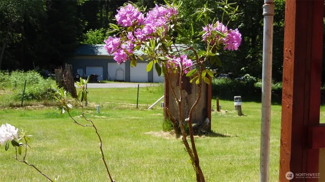 $400,000 | 117 Greenwood Drive, Randle, WA 98377