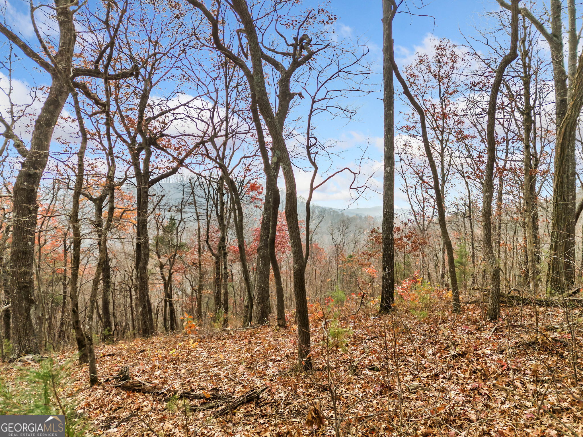 Lt273 Andes Ridge, Unit 273 Talking Rock, GA 30175 - Photo 1 of 1 Gallery Image 1