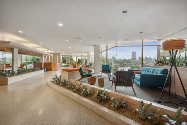 a living room with furniture and a potted plant