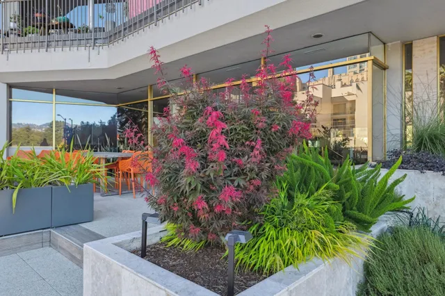 $895,000 | 177 19th Street, Unit 5A, Oakland, CA 94612