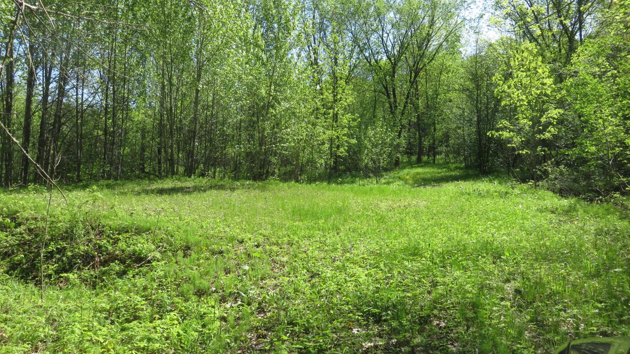 Lot On Townsite Road Presque Isle, WI 54557 - Photo 3 of 36 Gallery Image 3