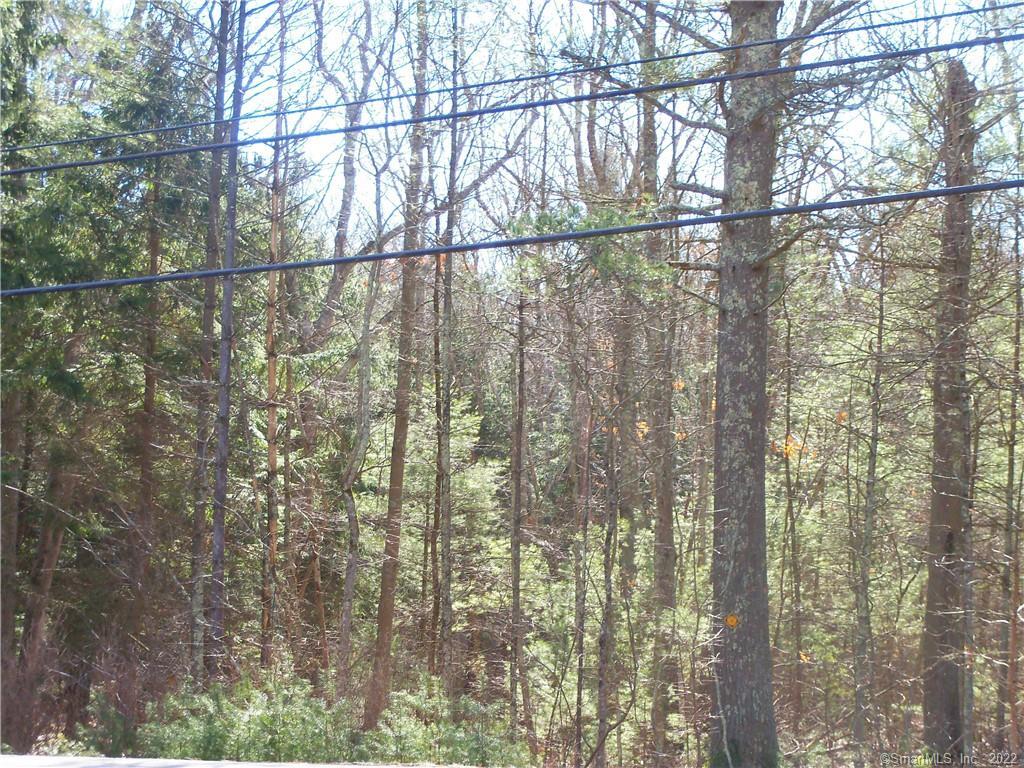 457 Beach Pond Road Voluntown, CT 06384 - Photo 1 of 1 Gallery Image 1