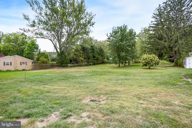 a view of a field with grass and trees