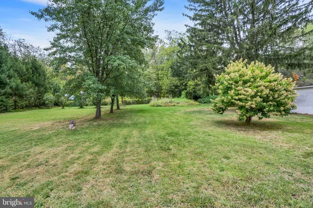 a view of outdoor space with green field and trees