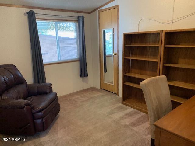 2528 East McKellips Road, Unit 131 Mesa, AZ 85213 - Photo 39 of 41 Guest Bedroom/Office