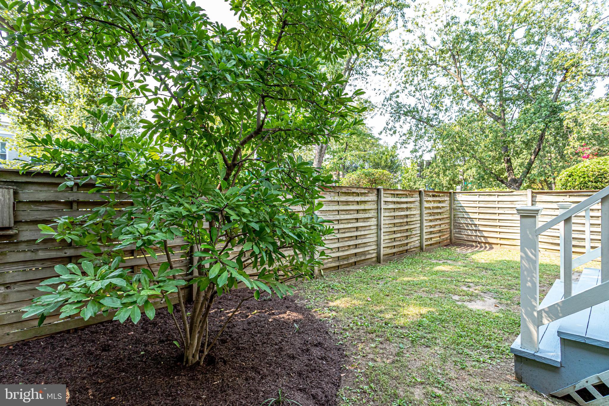 116 9th Street Southeast Washington, DC 20003 - Photo 41 of 56 Fully fenced PRIVATE green space off dining room