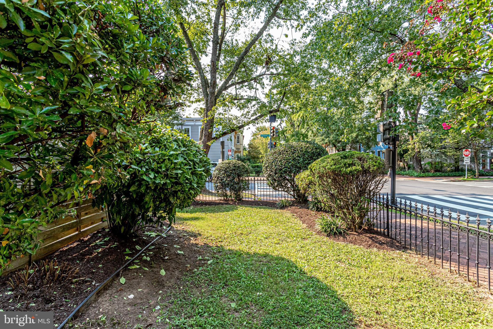 116 9th Street Southeast Washington, DC 20003 - Photo 48 of 56 Greenery buffer between PRIVATE yard and 9th St