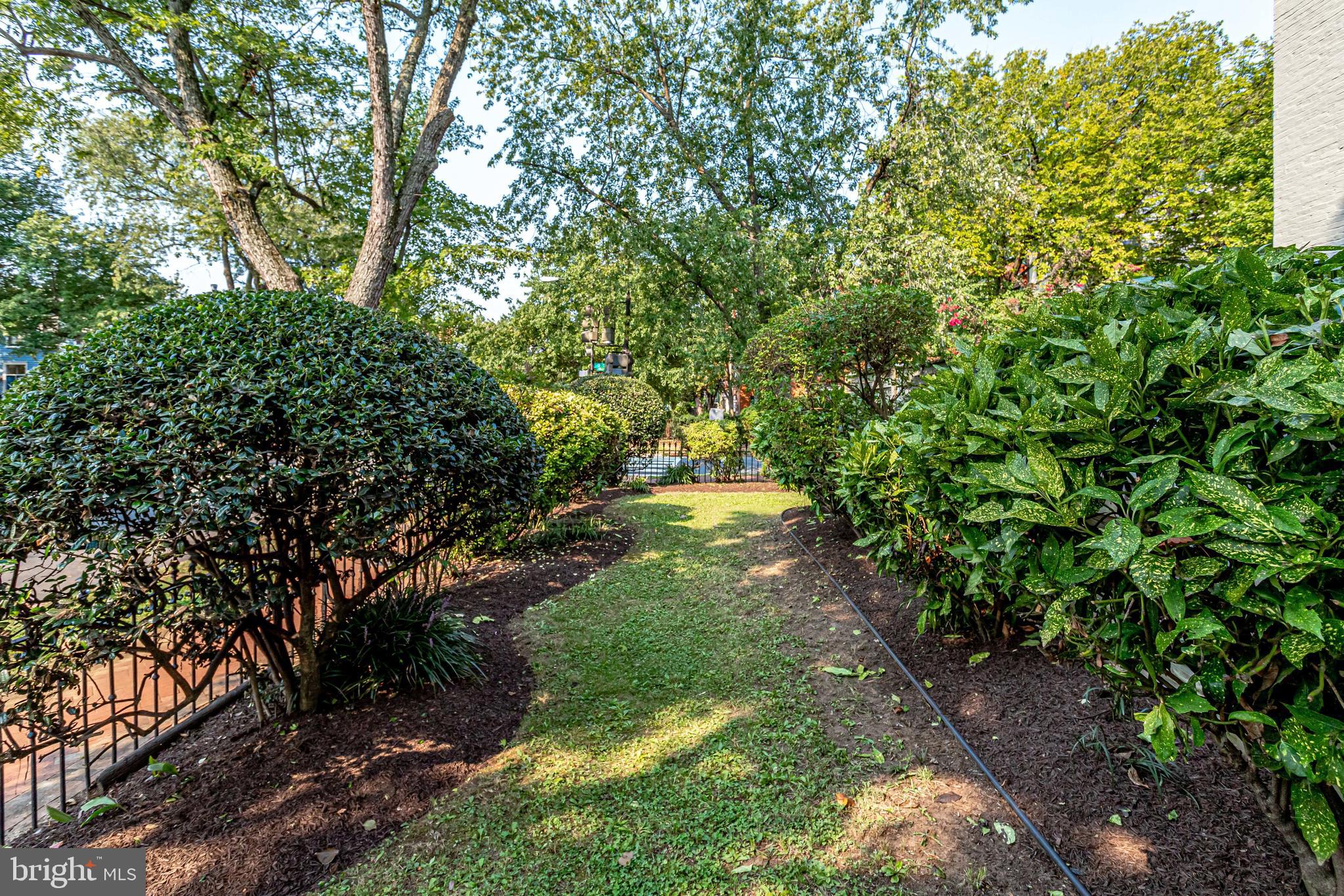 116 9th Street Southeast Washington, DC 20003 - Photo 49 of 56 Greenery looking toward Eastern Market 2 blks away