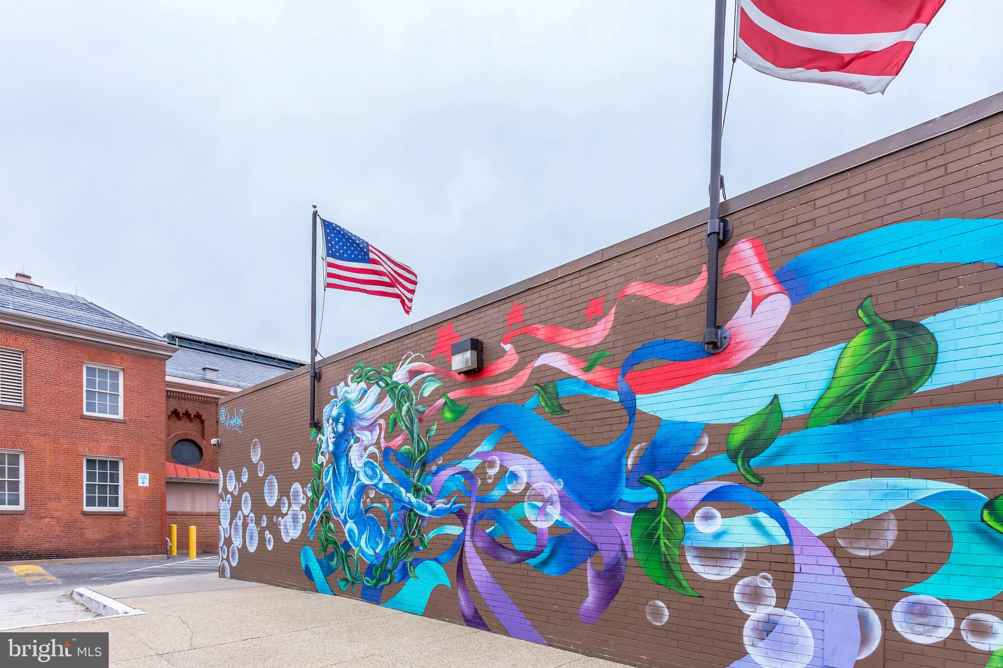 116 9th Street Southeast Washington, DC 20003 - Photo 53 of 56 Swim at the EMkt Natatorium, & enjoy street art