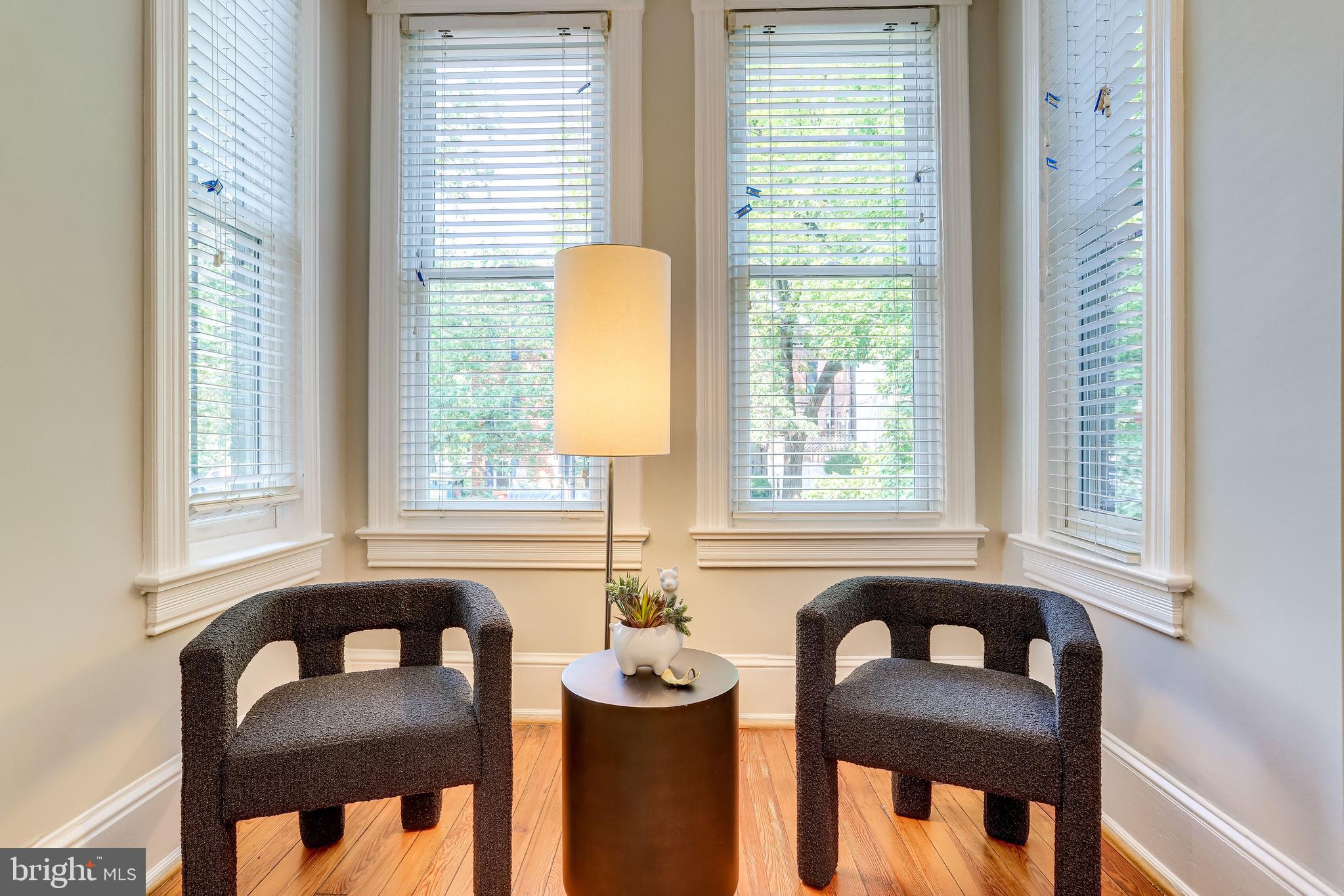 116 9th Street Southeast Washington, DC 20003 - Photo 10 of 56 SPACIOUS bay window area