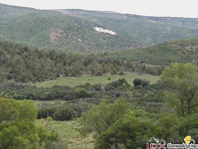 Tbd Tbd 344th Road Silt, CO 81652 - Photo 8 of 8 Additional Photo
