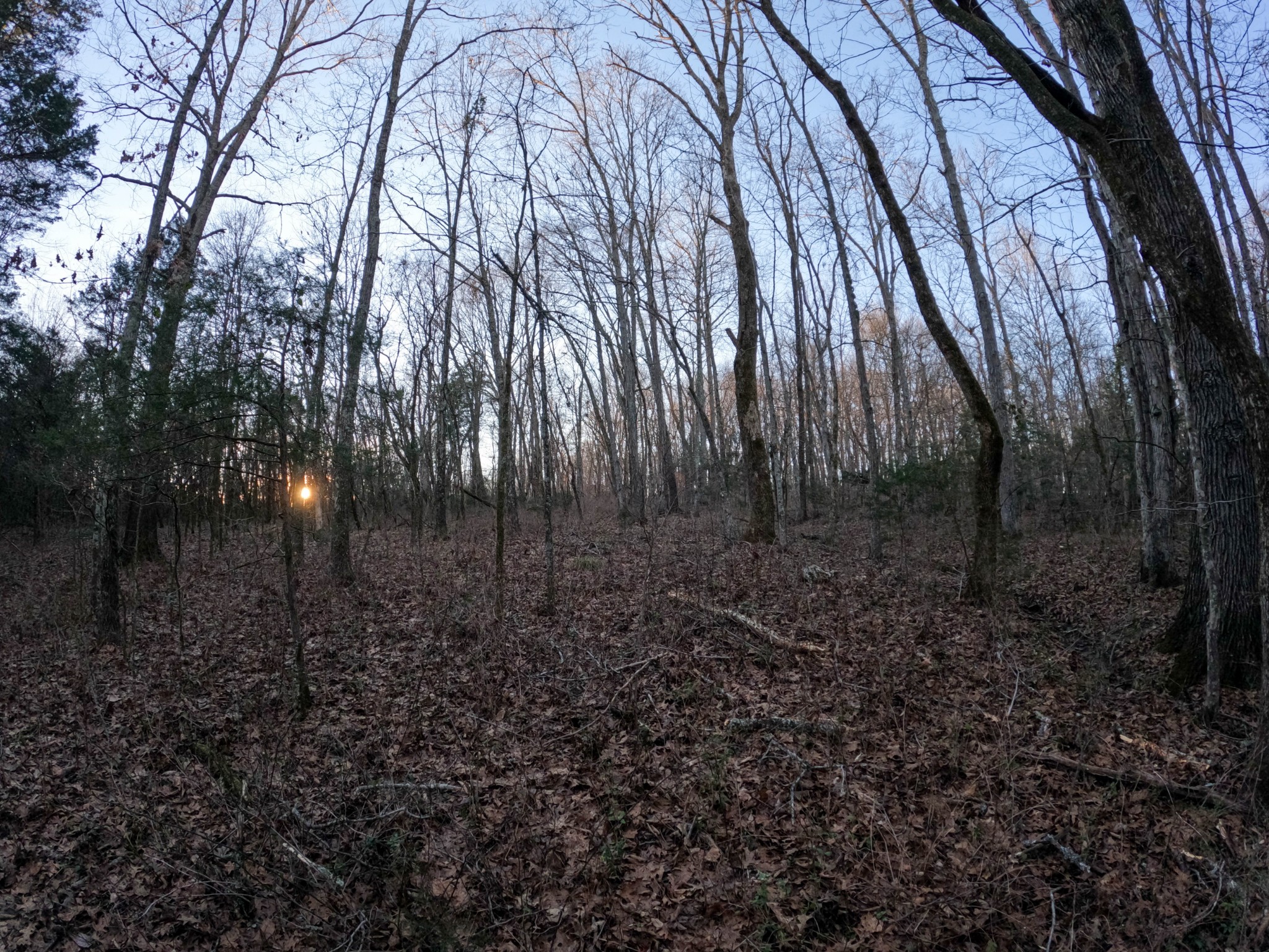 1245 Craig Moore Road Lewisburg, TN 37091 - Photo 14 of 69 Gallery Image 14