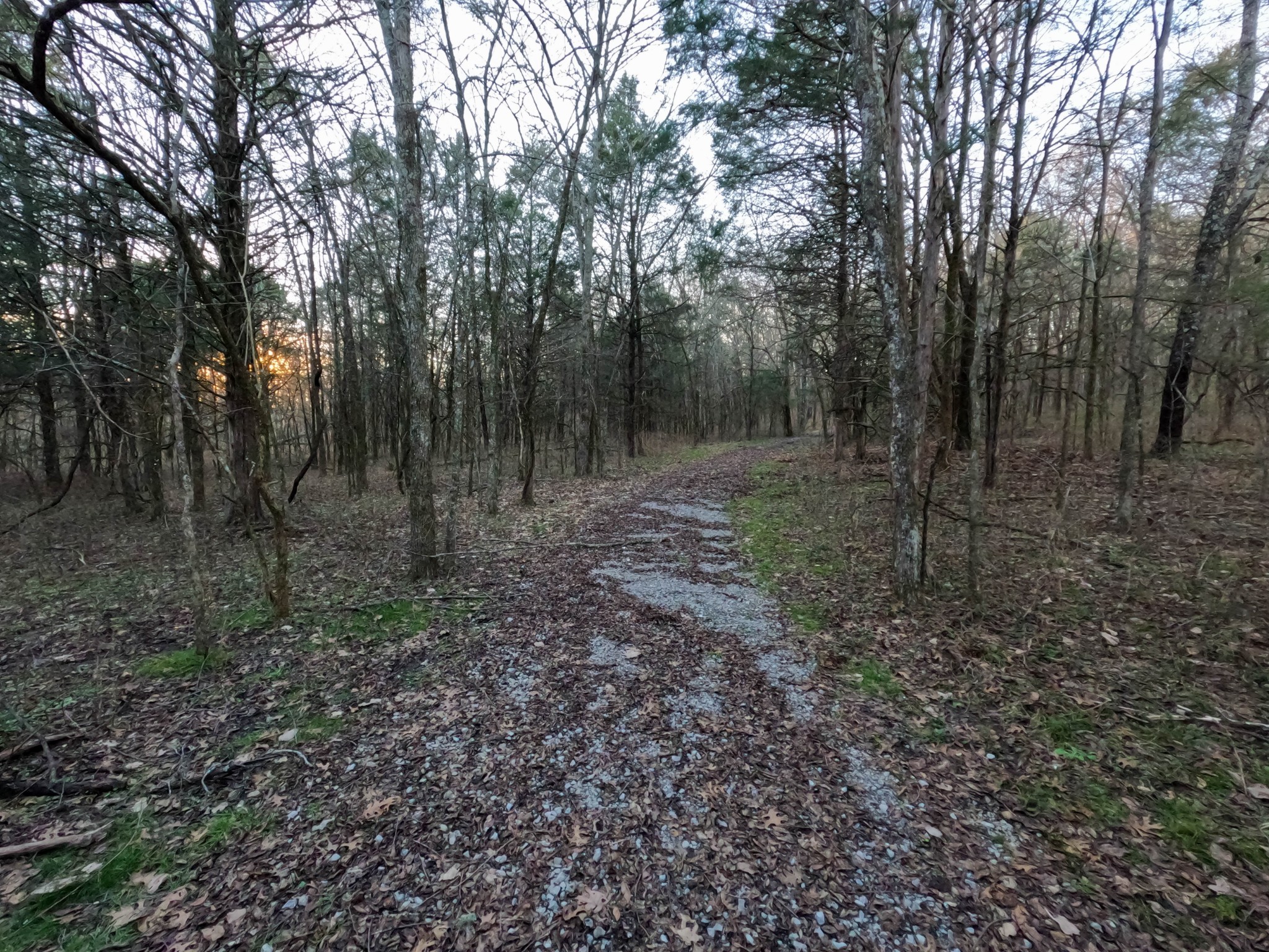 1245 Craig Moore Road Lewisburg, TN 37091 - Photo 16 of 69 Gallery Image 16