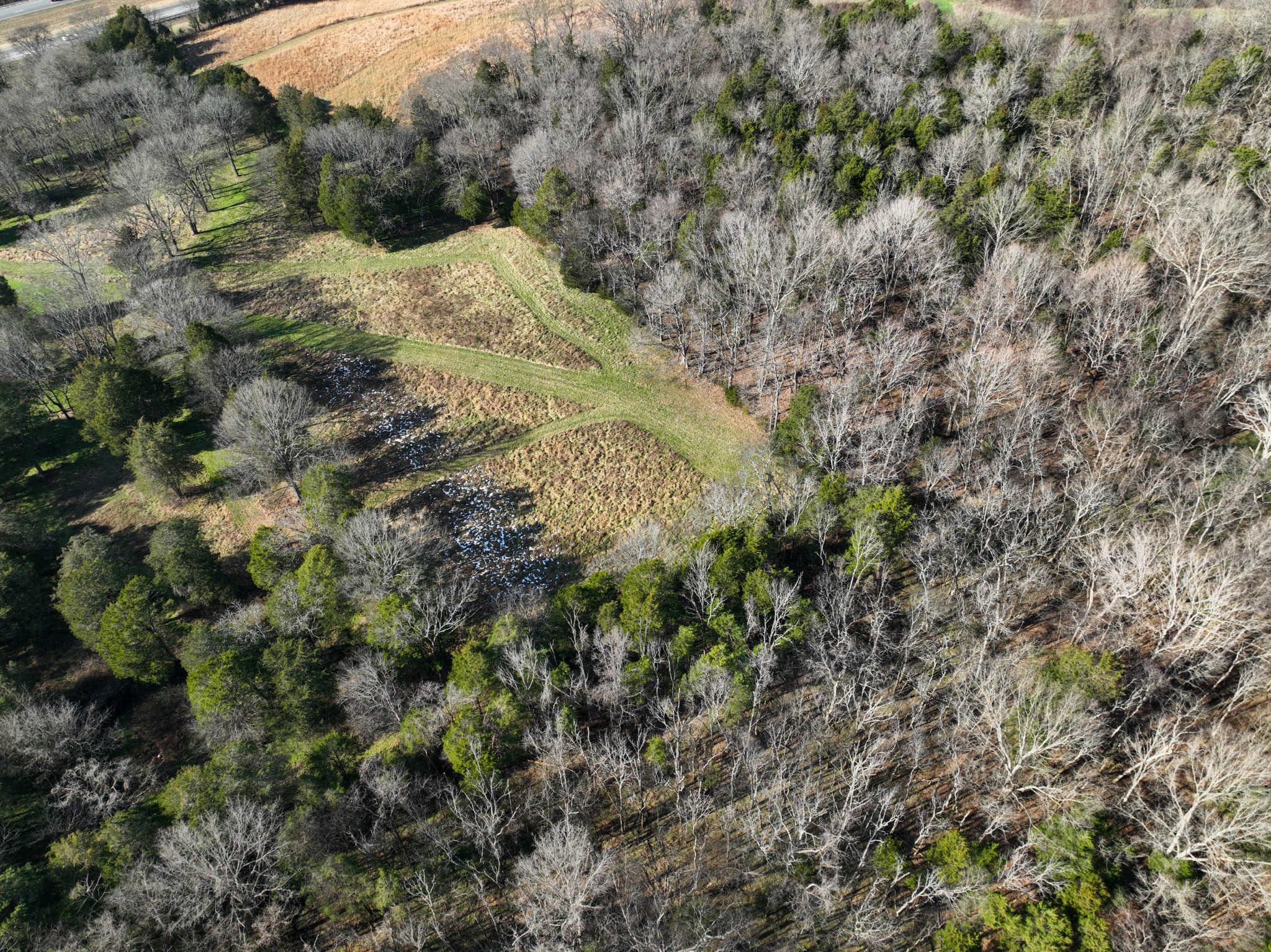 1245 Craig Moore Road Lewisburg, TN 37091 - Photo 19 of 69 Gallery Image 19
