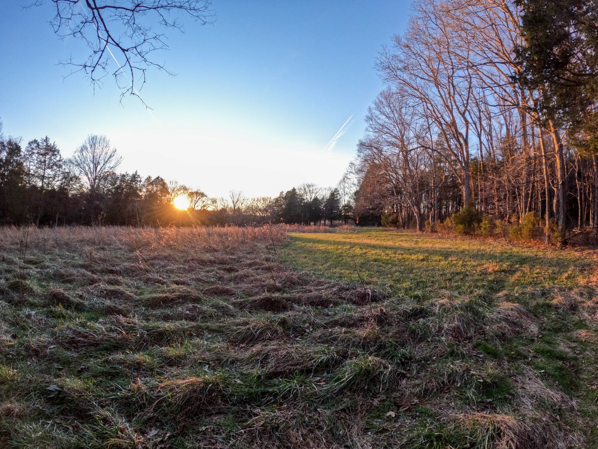 1245 Craig Moore Road Lewisburg, TN 37091 - Photo 20 of 69 Gallery Image 20