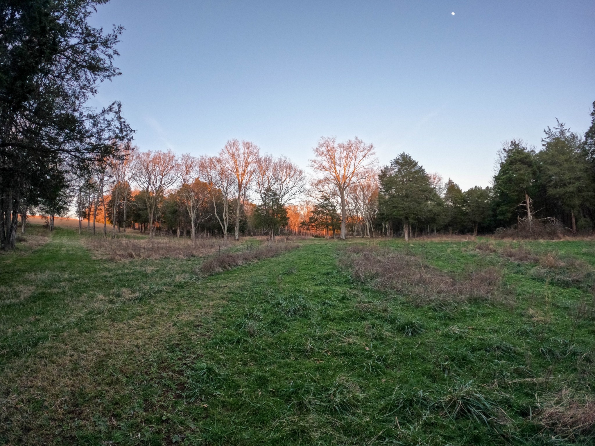 1245 Craig Moore Road Lewisburg, TN 37091 - Photo 37 of 69 Gallery Image 37