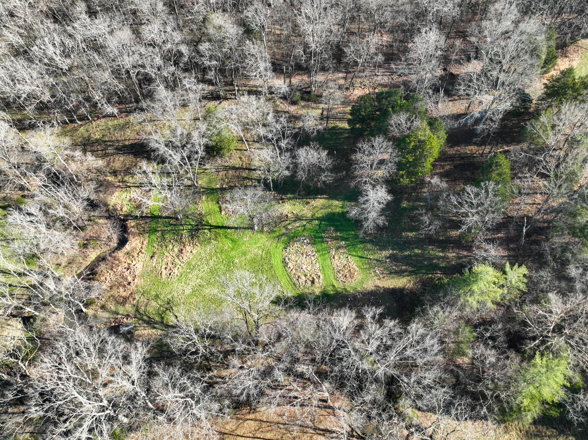 1245 Craig Moore Road Lewisburg, TN 37091 - Photo 38 of 69 Gallery Image 38