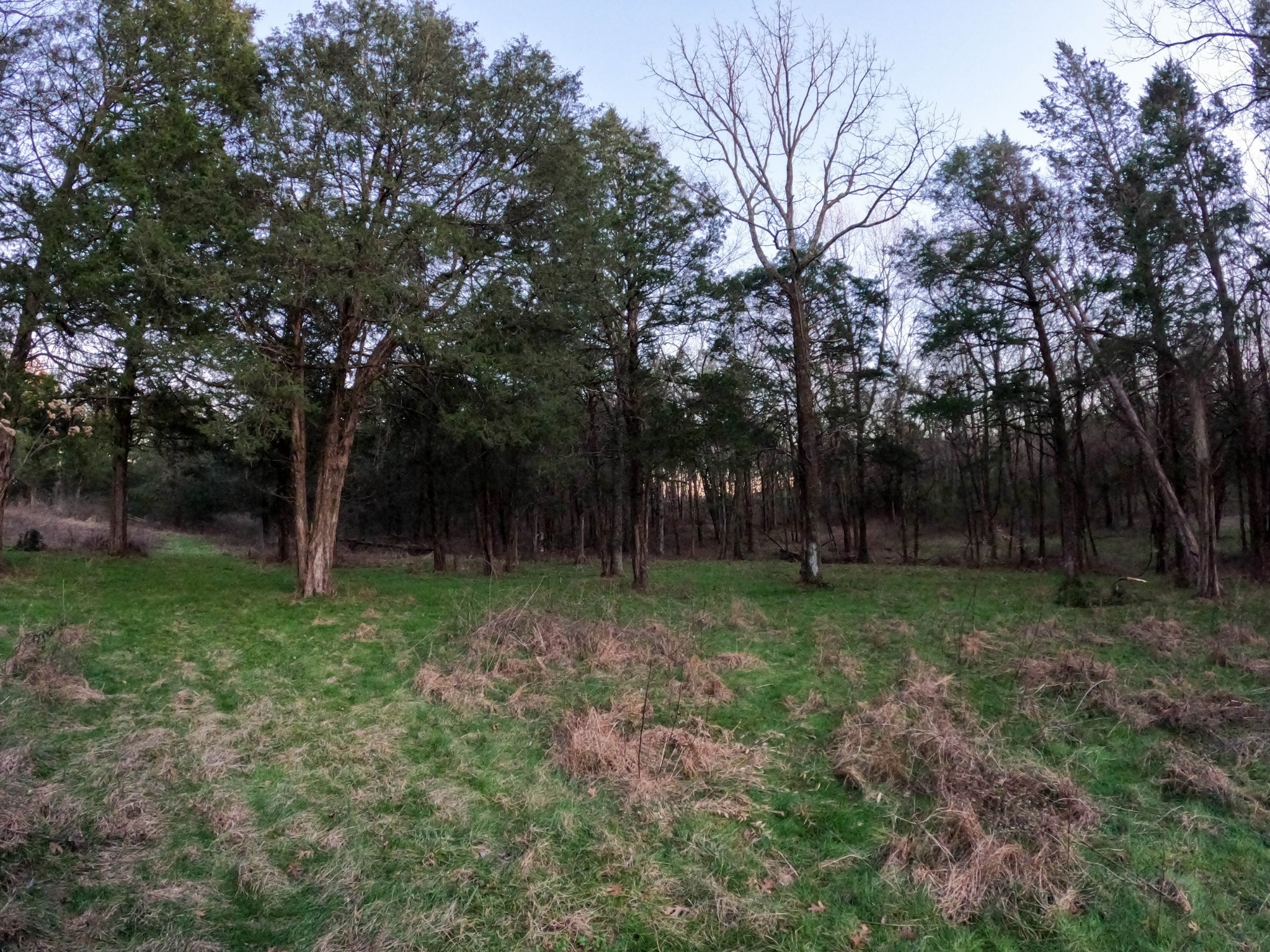 1245 Craig Moore Road Lewisburg, TN 37091 - Photo 42 of 69 Gallery Image 42