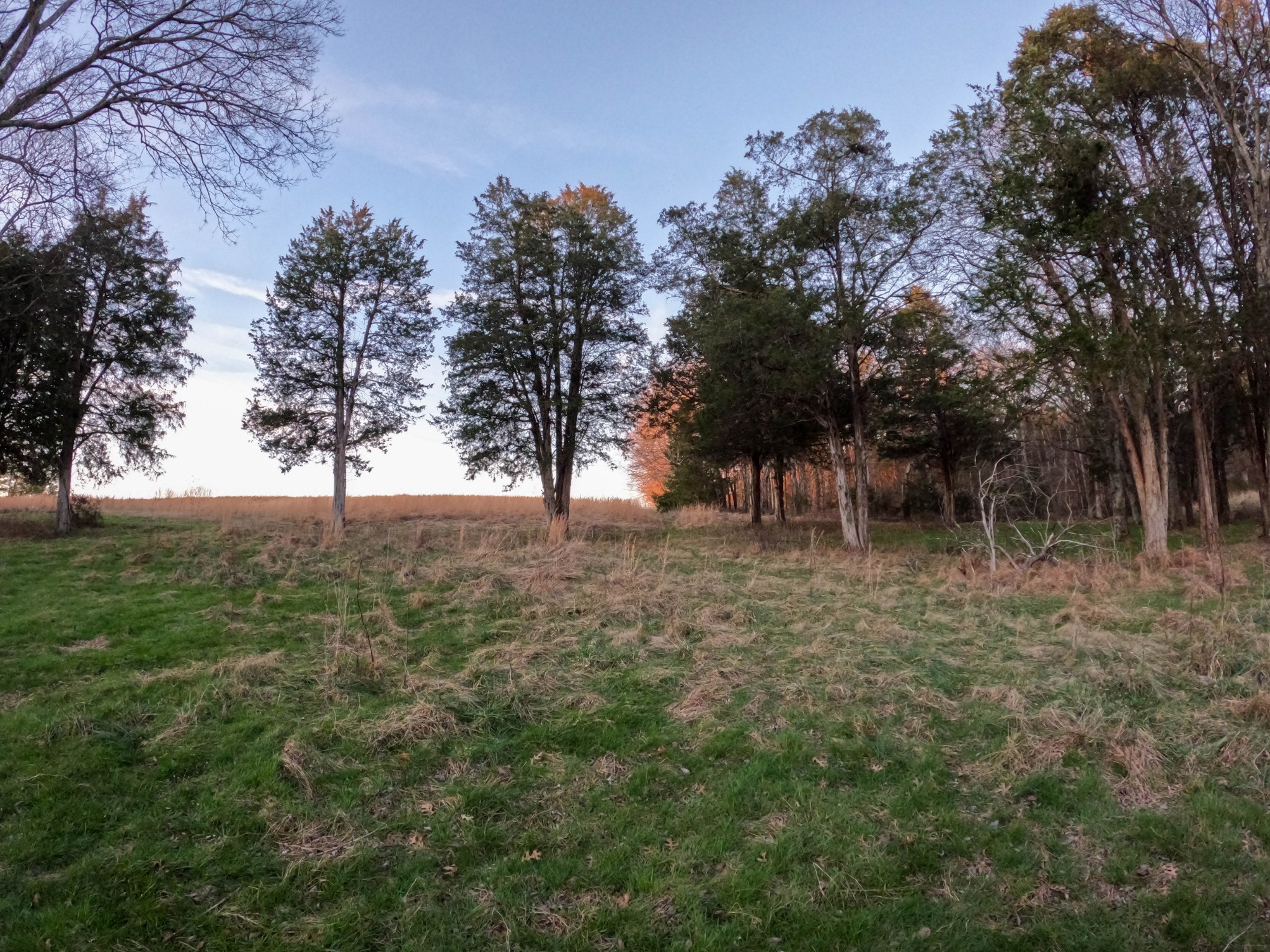 1245 Craig Moore Road Lewisburg, TN 37091 - Photo 43 of 69 Gallery Image 43