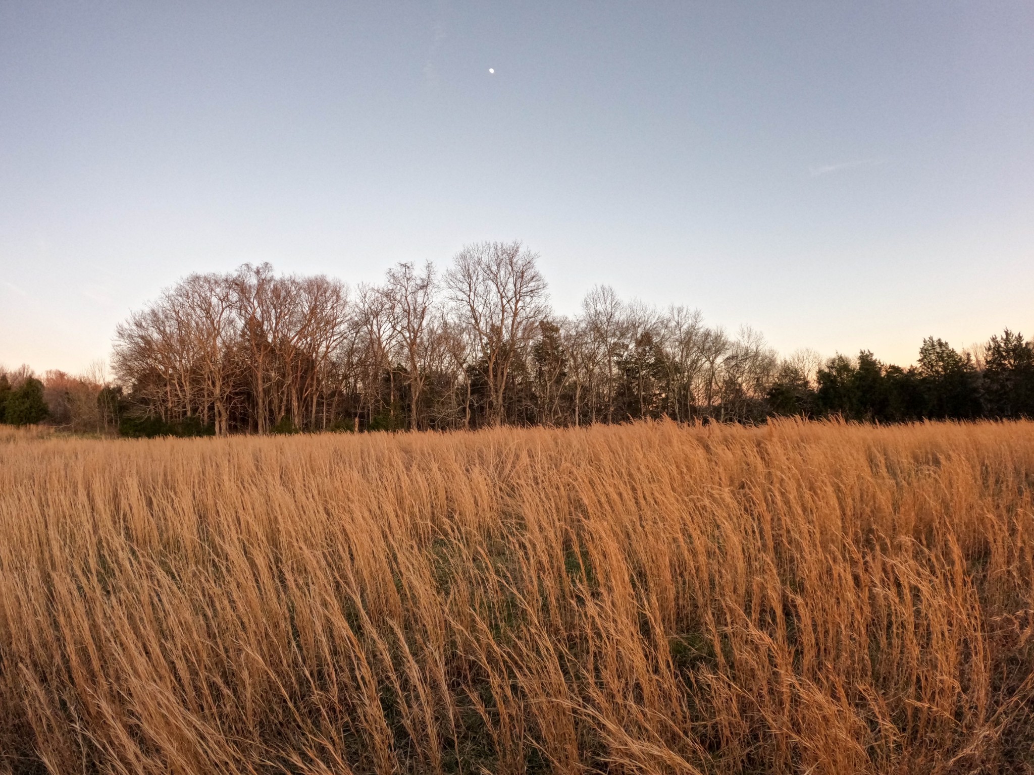 1245 Craig Moore Road Lewisburg, TN 37091 - Photo 46 of 69 Gallery Image 46