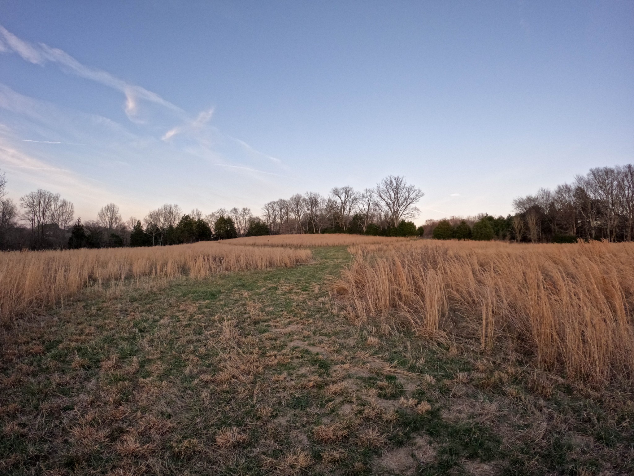 1245 Craig Moore Road Lewisburg, TN 37091 - Photo 47 of 69 Gallery Image 47