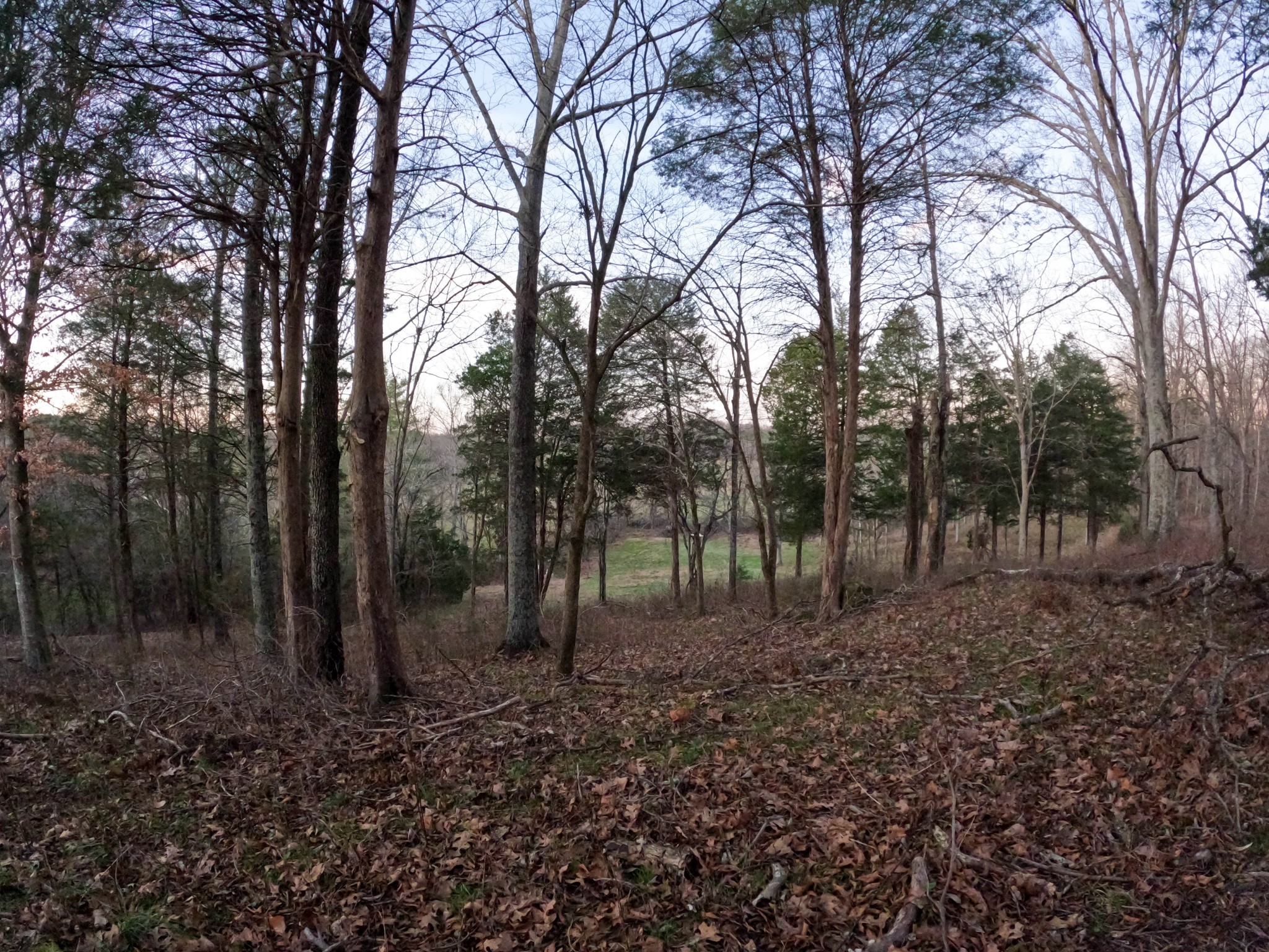 1245 Craig Moore Road Lewisburg, TN 37091 - Photo 49 of 69 Gallery Image 49