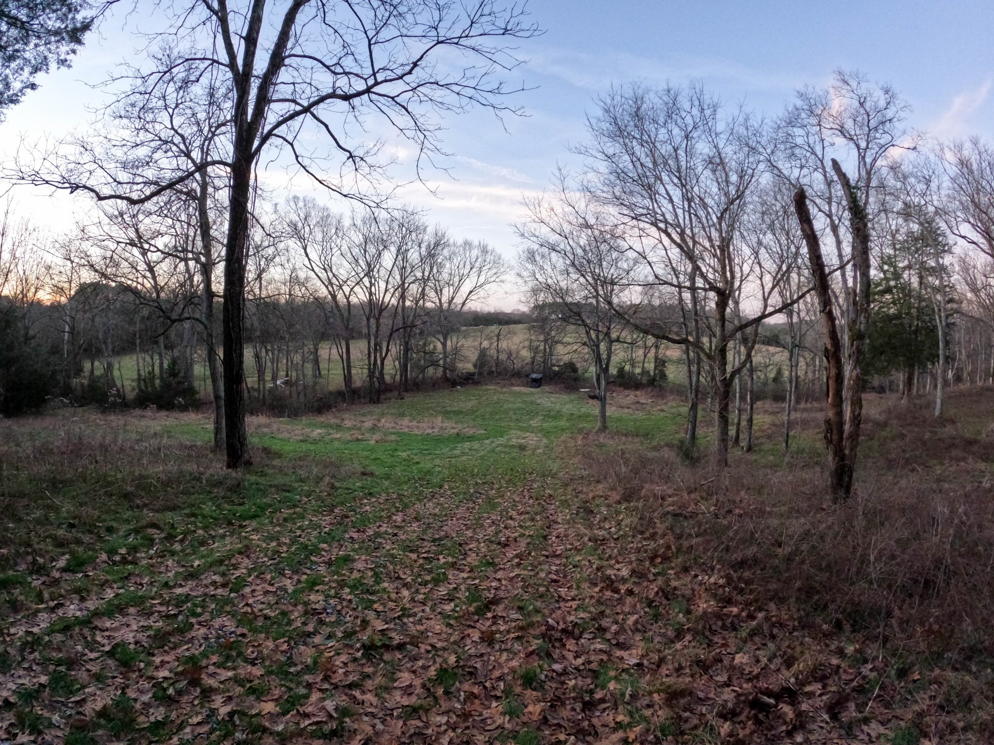 1245 Craig Moore Road Lewisburg, TN 37091 - Photo 50 of 69 Gallery Image 50