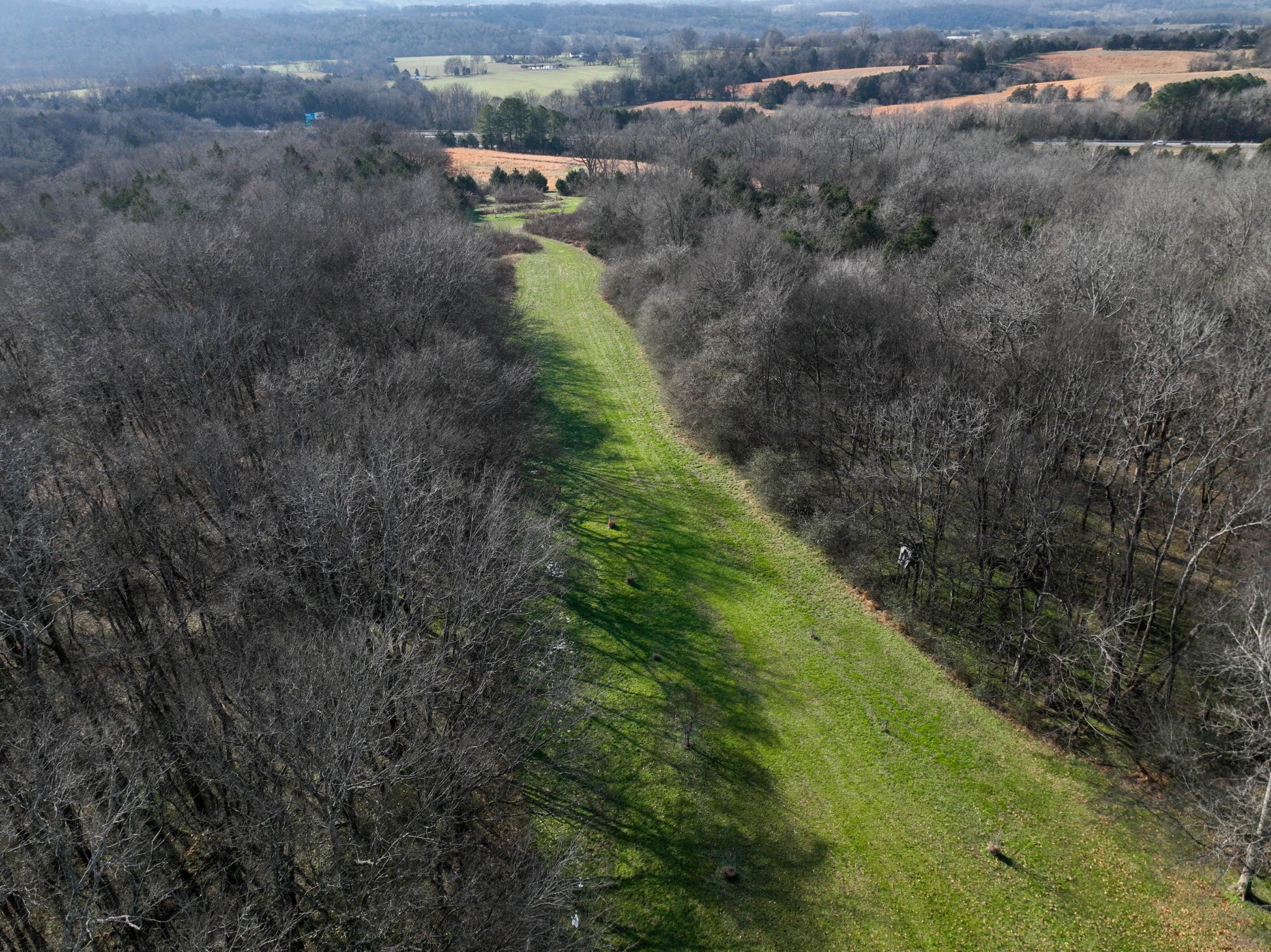 1245 Craig Moore Road Lewisburg, TN 37091 - Photo 8 of 69 Gallery Image 8