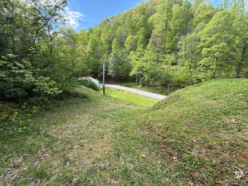 1762 Wds Frk Road Grundy, VA 24614 - Photo 31 of 39 Gallery Image 31