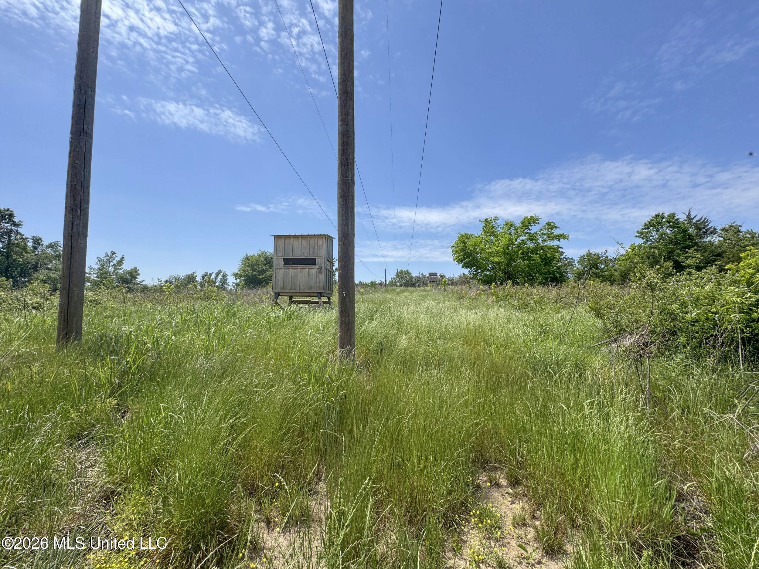 Chinqupin Road Lexington, MS 39095 - Photo 198 of 210 8chqpn70