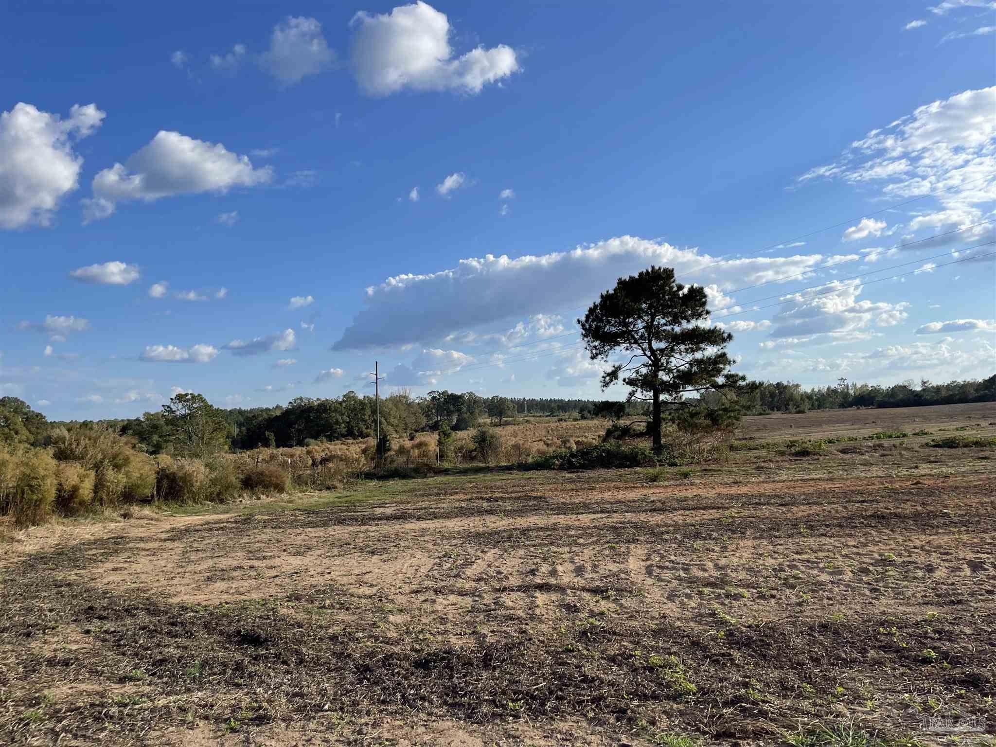 0 Philyaw Road Atmore, AL 36502 - Photo 22 of 35
