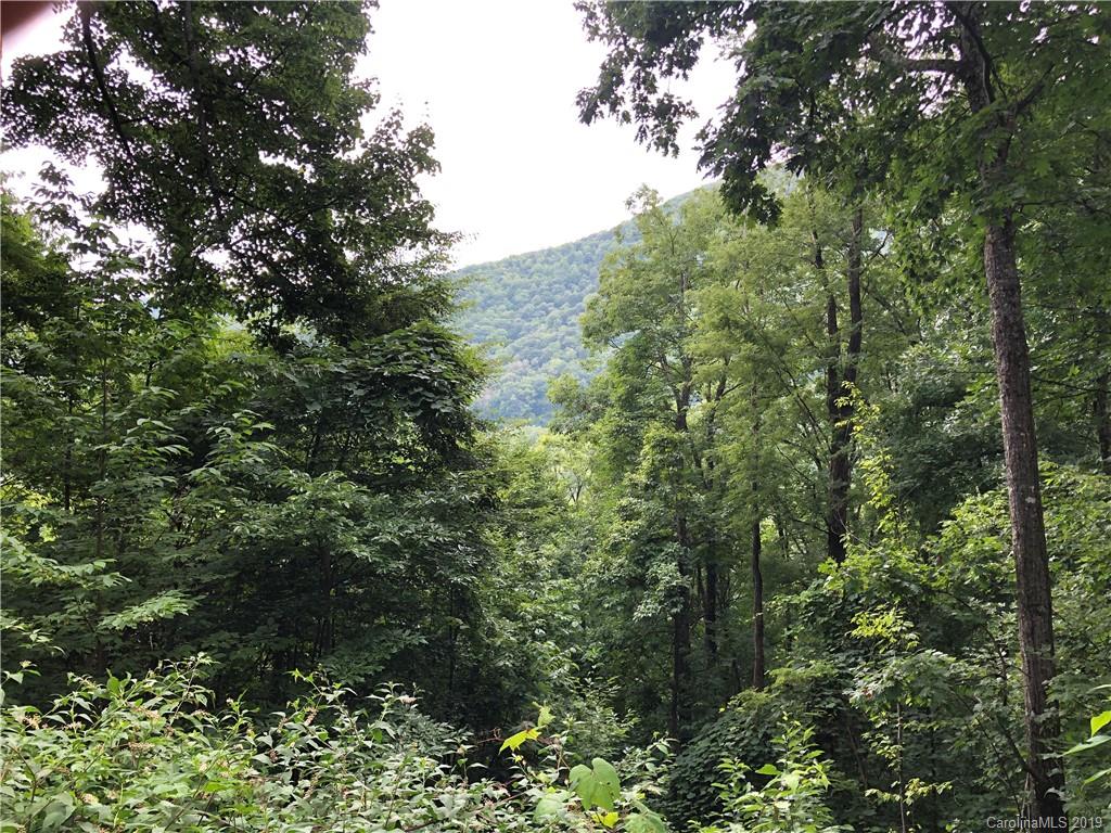 325 Hidden Cove Road Maggie Valley, NC 28751 - Photo 2 of 15 Gallery Image 2