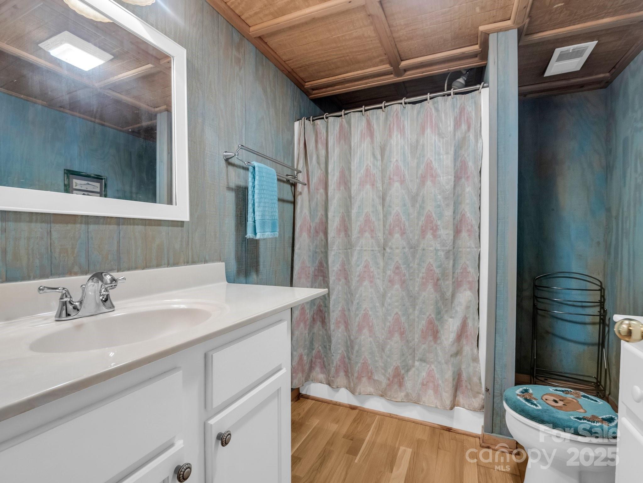 940 Hugh Champion Road Tryon, NC 28782 - Photo 32 of 36 a bathroom with a sink and a mirror