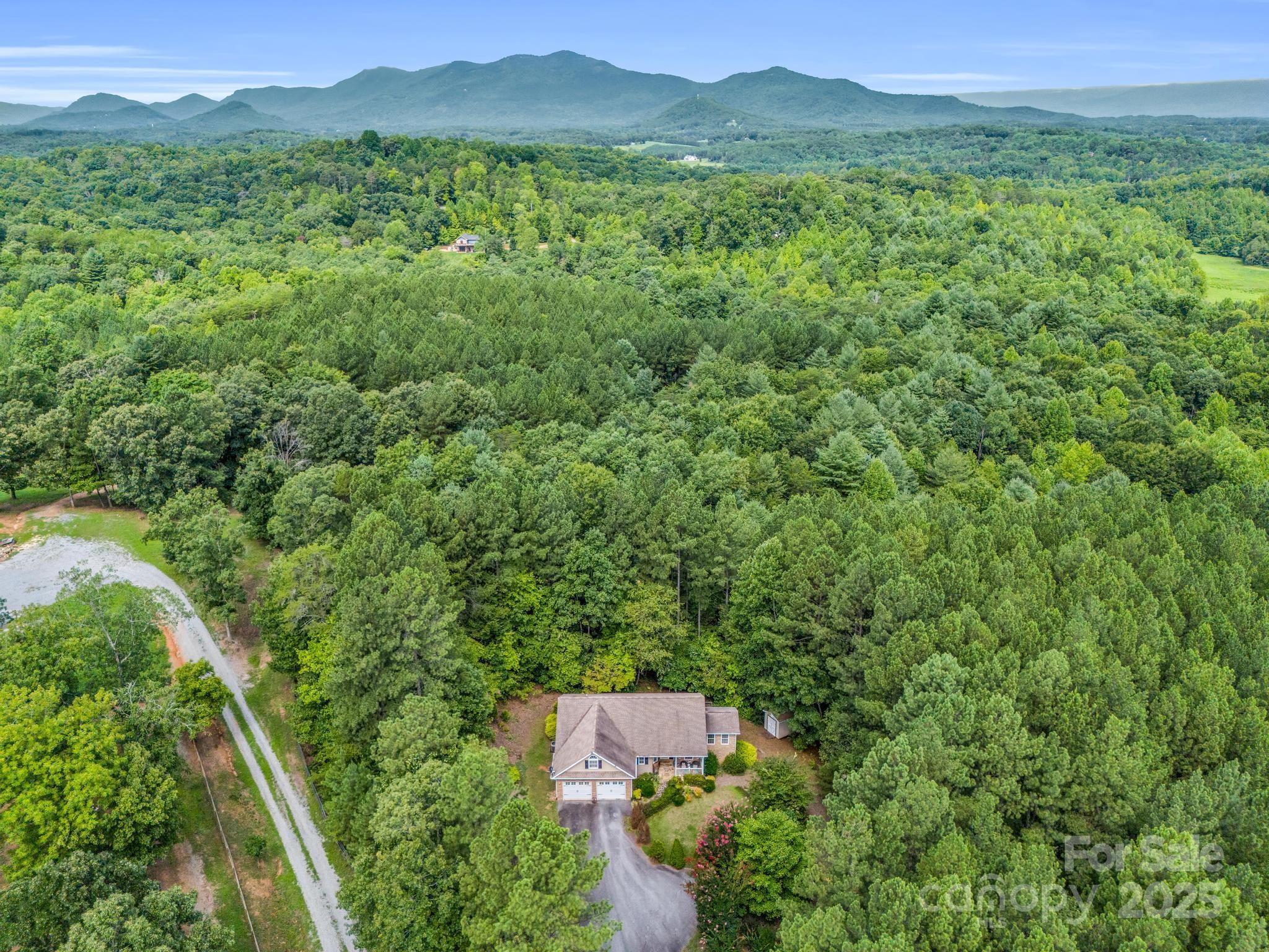 940 Hugh Champion Road Tryon, NC 28782 - Photo 34 of 36 a view of a lush green forest with trees in the background