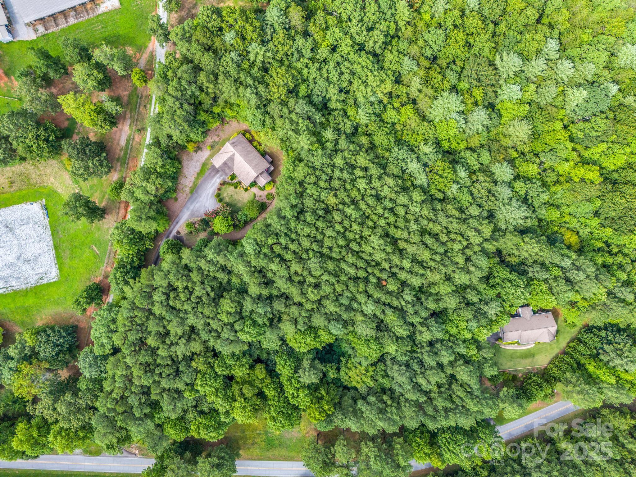 940 Hugh Champion Road Tryon, NC 28782 - Photo 35 of 36 a bird view of a tree with a garden