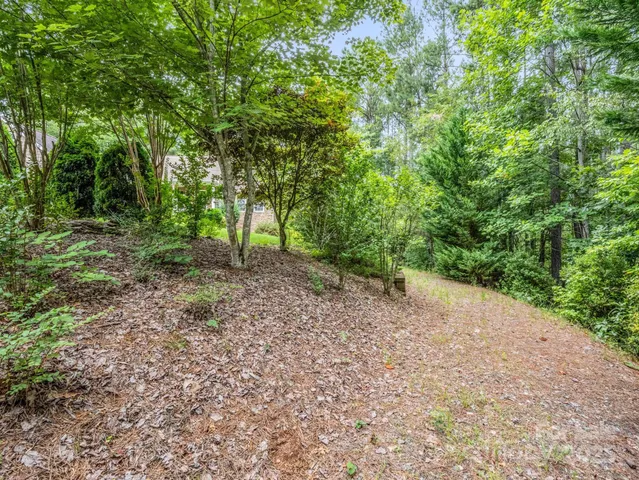a view of a yard with a tree