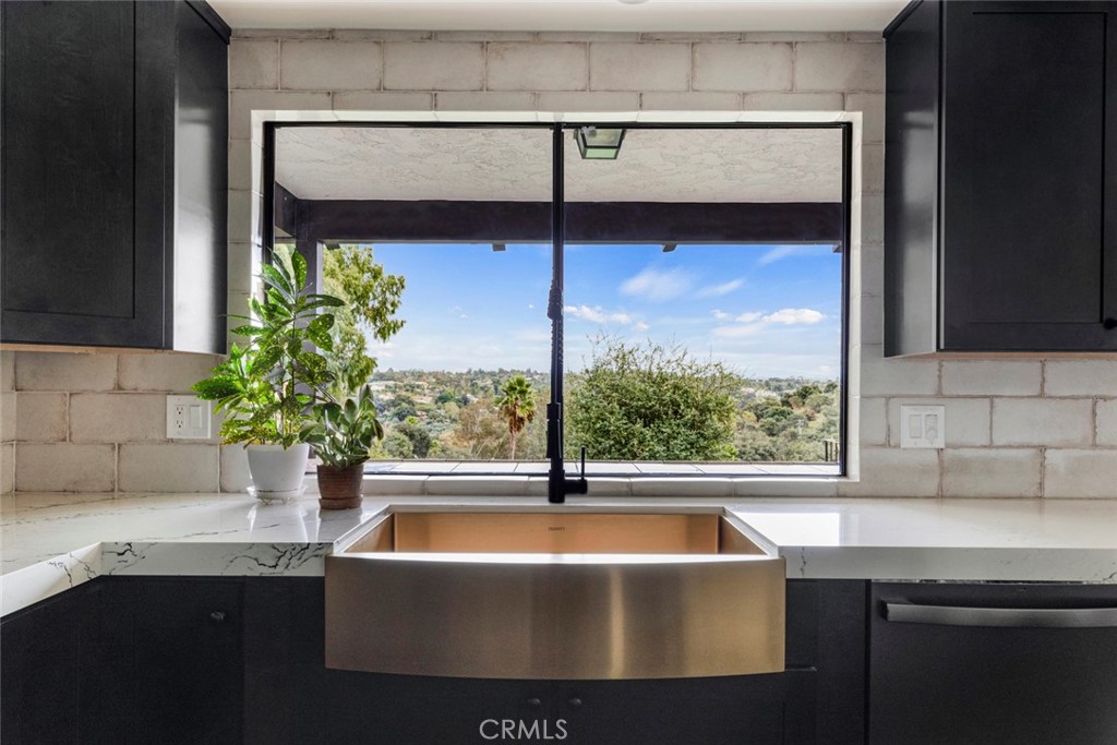 2527 Olive Hill Lane Fallbrook, CA 92028 - Photo 21 of 65 a view of kitchen with a sink and potted plant