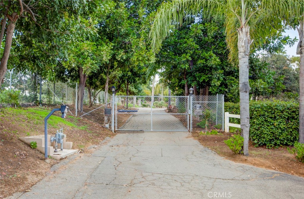 2527 Olive Hill Lane Fallbrook, CA 92028 - Photo 57 of 65 a view of a park with plants and trees