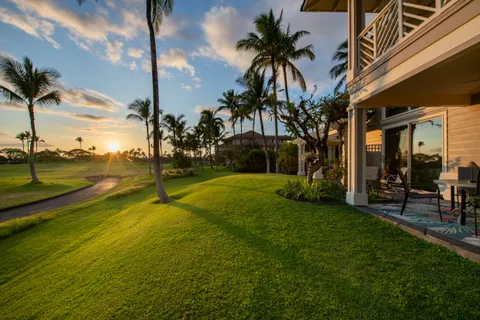 a view of a yard with palm tree
