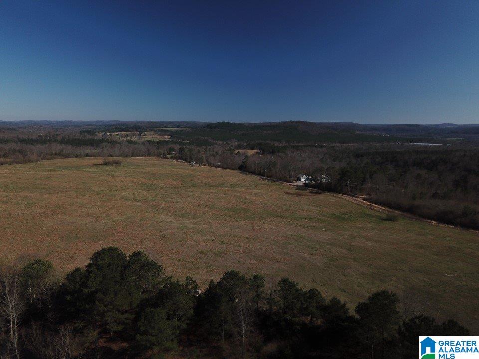 0 Posey Road, Unit TRACT 4 Blountsville, AL 35031 - Photo 4 of 6