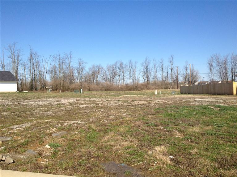 1812 Millbank Road Lexington, KY 40511 - Photo 5 of 9 Photo 6