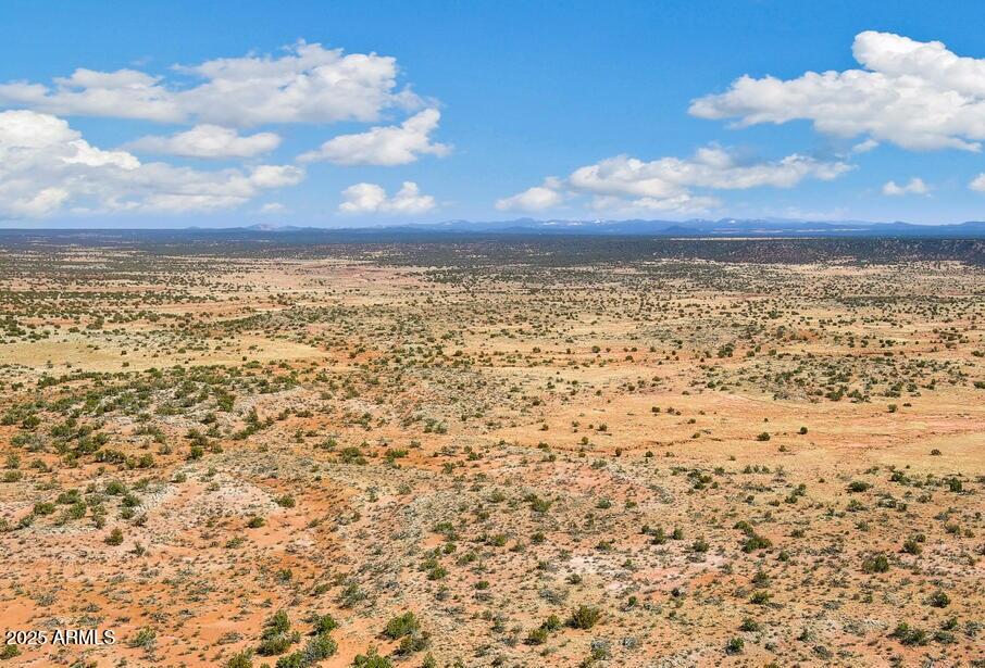 8580 Phillips Snowflake, AZ 85937 - Photo 3 of 9