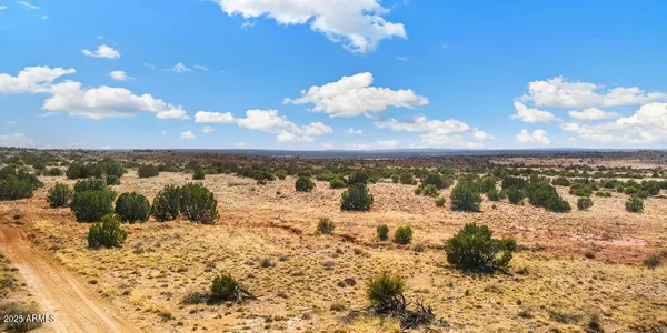 $11,999 | 8580 Phillips, Snowflake, AZ 85937