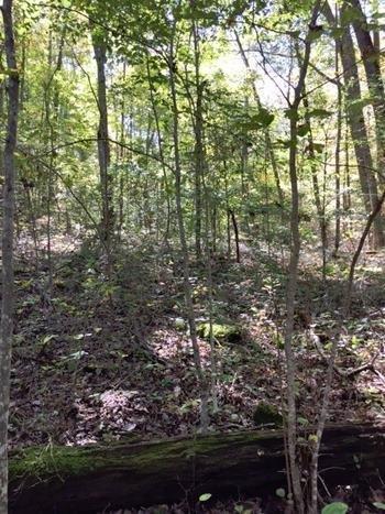420 Dead Ox Hollow Road Burnside, KY 42519 - Photo 4 of 9 Additional Photo