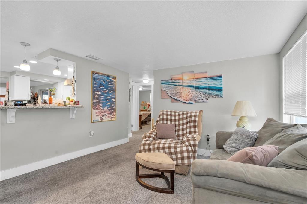 5612 Baker Road New Port Richey, FL 34653 - Photo 26 of 71