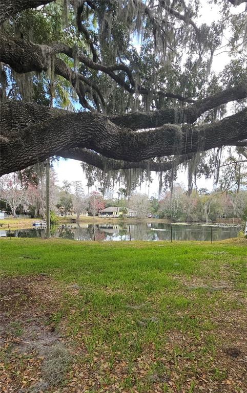 5612 Baker Road New Port Richey, FL 34653 - Photo 65 of 71