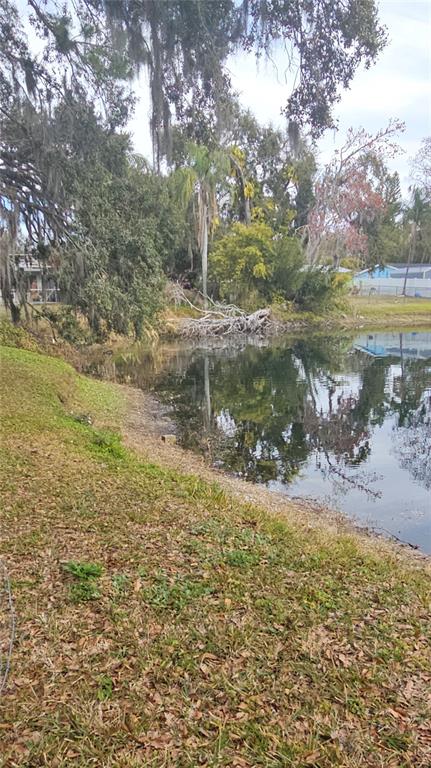 5612 Baker Road New Port Richey, FL 34653 - Photo 66 of 71