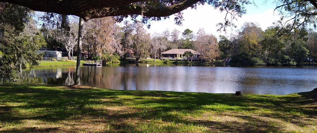 5612 Baker Road New Port Richey, FL 34653 - Photo 70 of 71